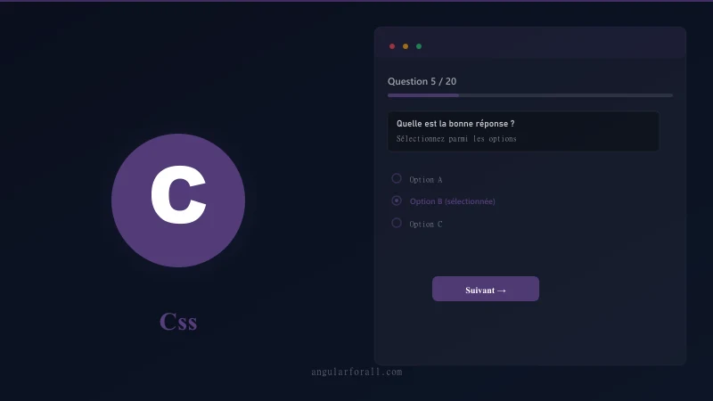 Entretien CSS Débutant — Sélecteurs et Box Model
